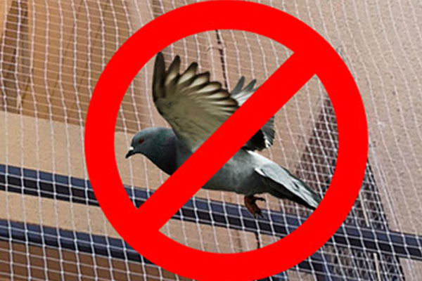 pigeon safety nets in Visakhapatnam