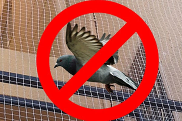 pigeon safety nets in Vijayawada