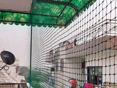 Bird Nets