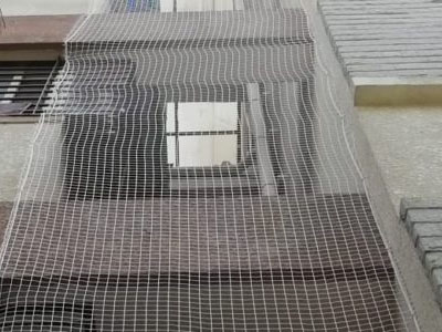 Pigeon Safety Nets